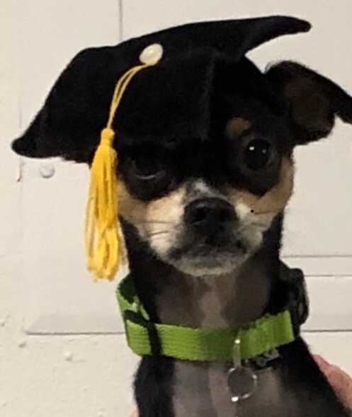 Graduate w Hat